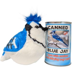 Canned Blue Jay with Sound